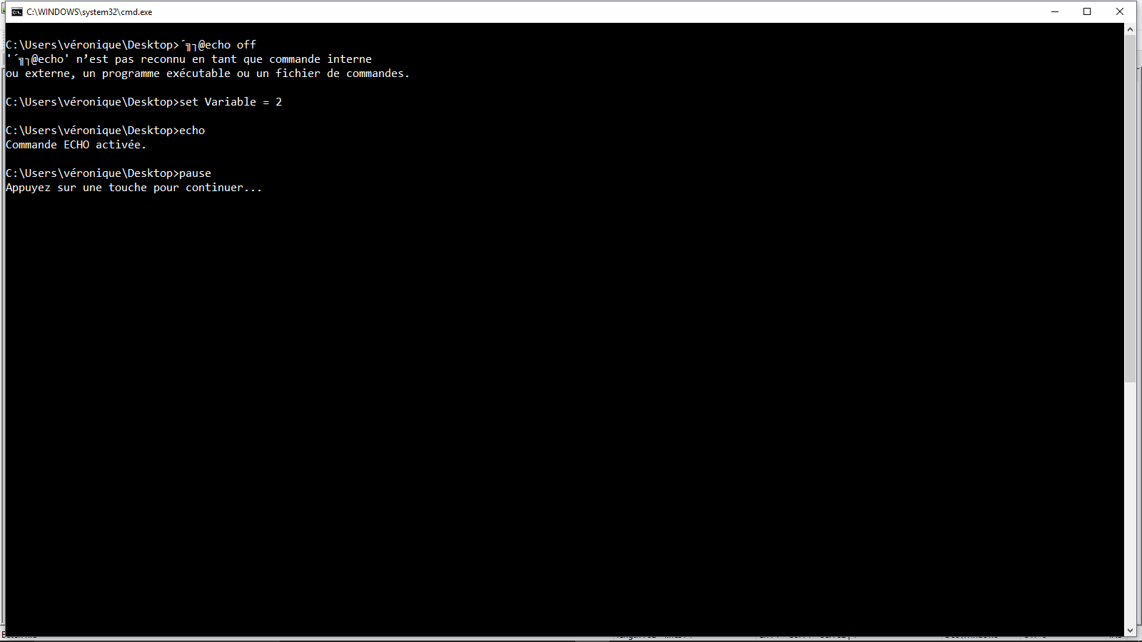 echo off in batch file